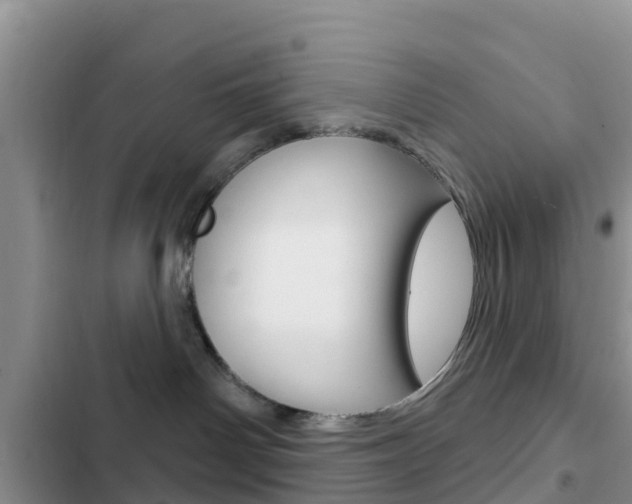 X0000102770142200808181003