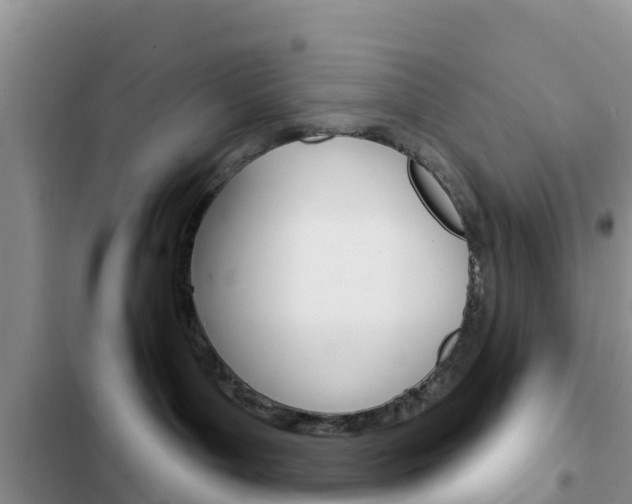 X0000102770143200808181003