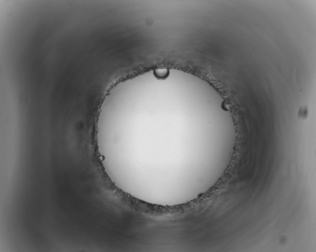 X0000102770144200808181003