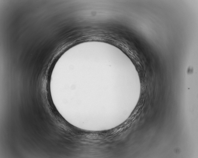X0000102770146200808181002