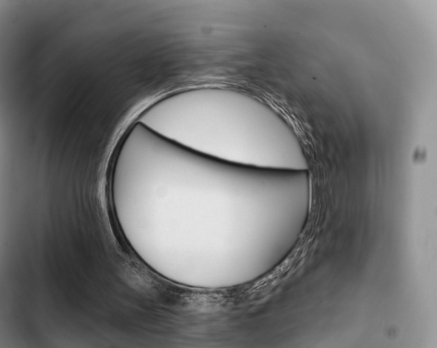X0000102770147200808181002