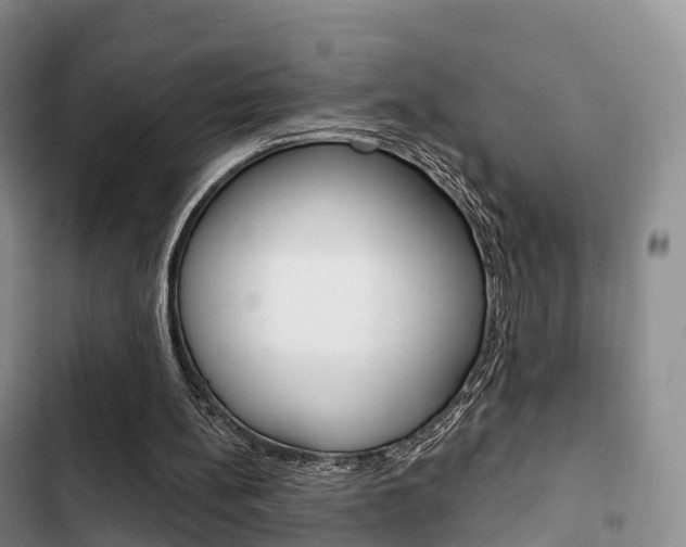 X0000102770148200808181002