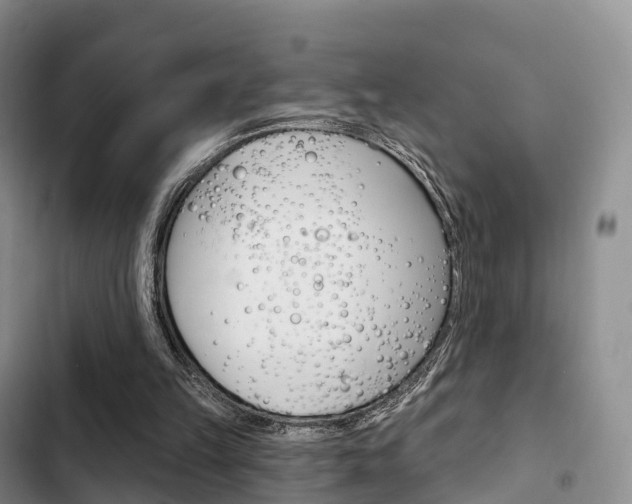 X0000102770149200808181002