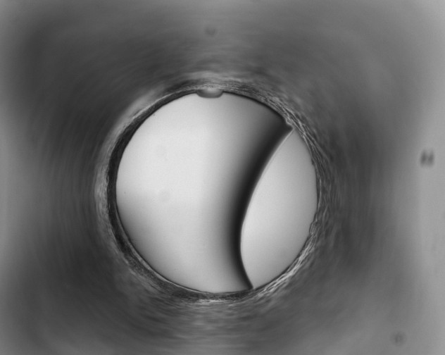 X0000102770150200808181002