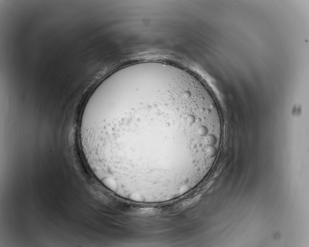 X0000102770153200808181003