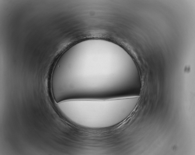 X0000102770154200808181003