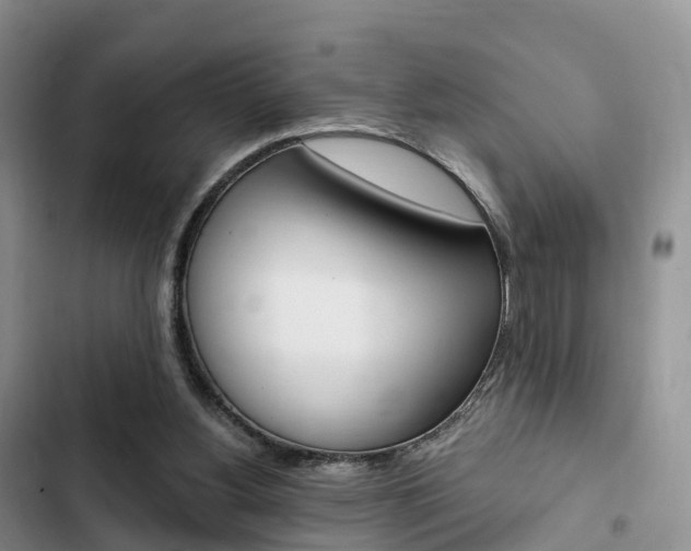 X0000102770156200808181003