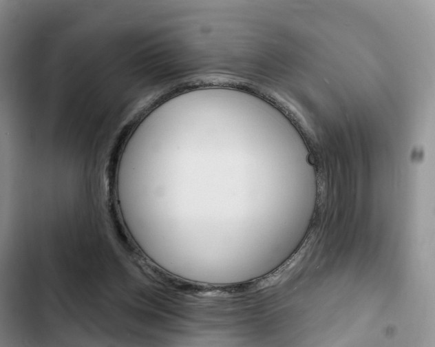 X0000102770158200808181003