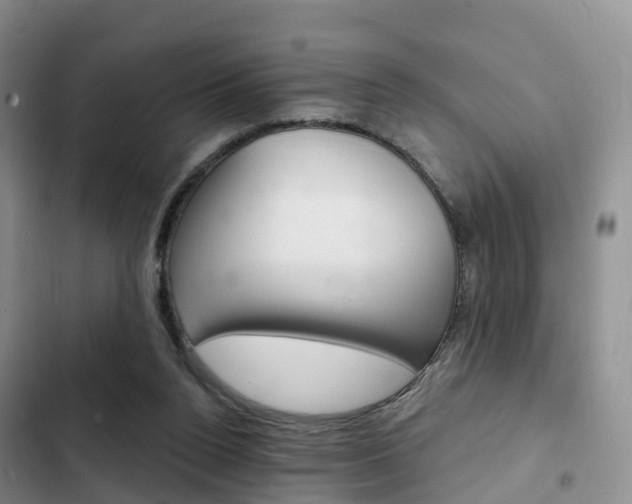 X0000102770160200808181003