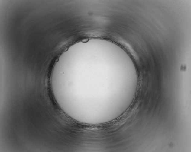 X0000102770161200808181003