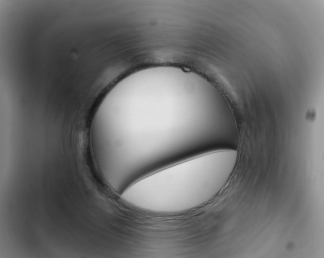 X0000102770164200808181003