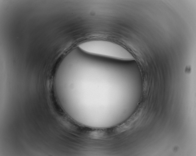 X0000102770168200808181003