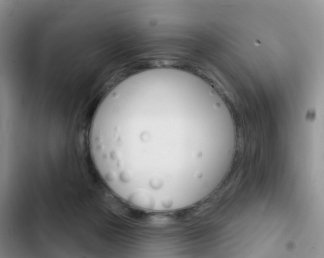 X0000102770169200808181003
