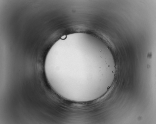 X0000102770170200808181003