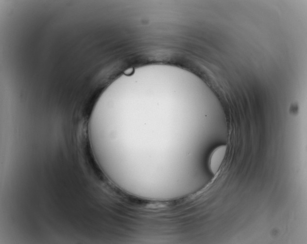 X0000102770172200808181003