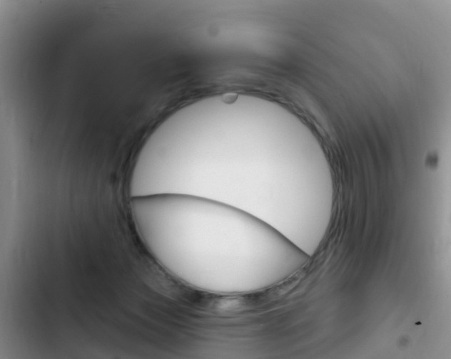 X0000102770173200808181003