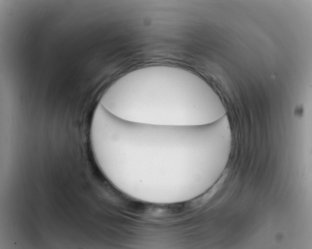 X0000102770174200808181003