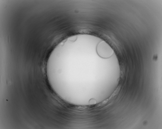 X0000102770175200808181003