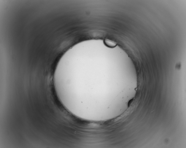 X0000102770176200808181003