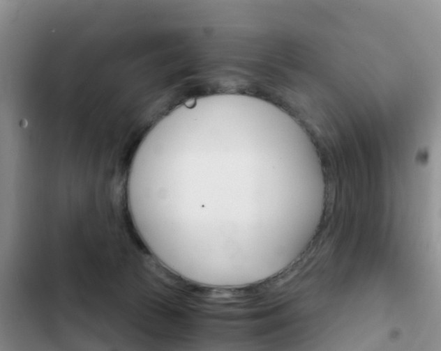 X0000102770177200808181003