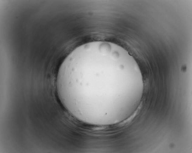 X0000102770178200808181003