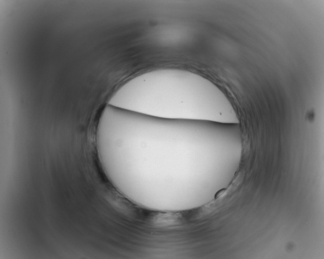 X0000102770179200808181003