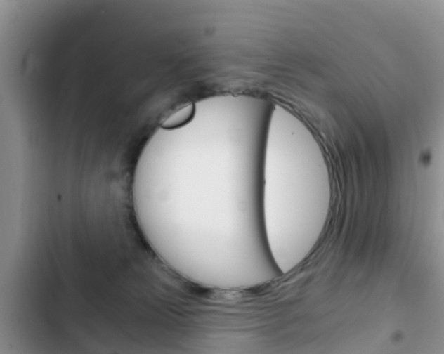 X0000102770181200808181003