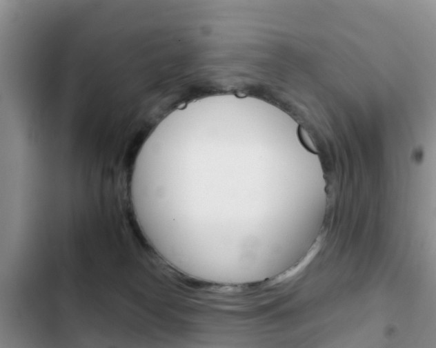 X0000102770182200808181003