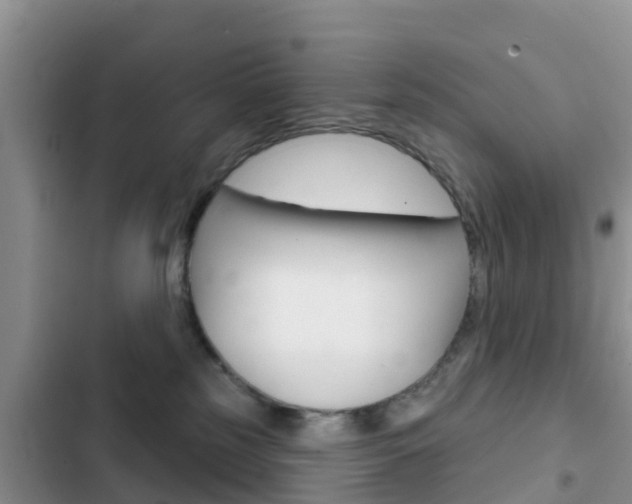 X0000102770185200808181003