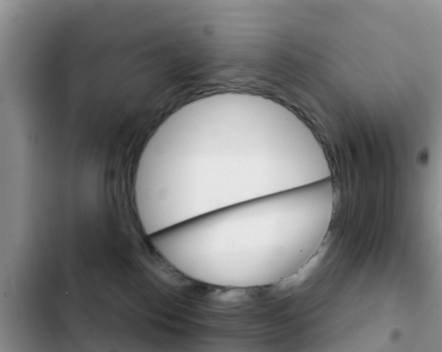 X0000102770186200808181003