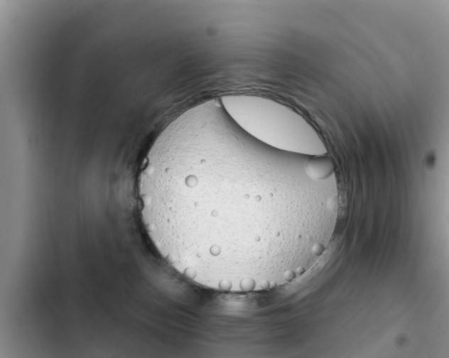 X0000102770187200808181003