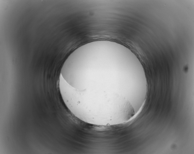 X0000102770190200808181003