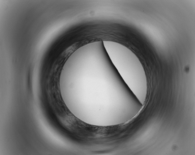 X0000102770191200808181003