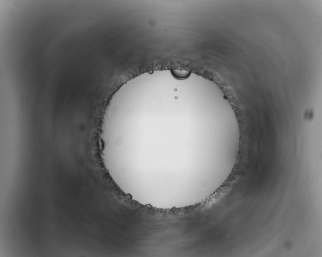X0000102770192200808181003