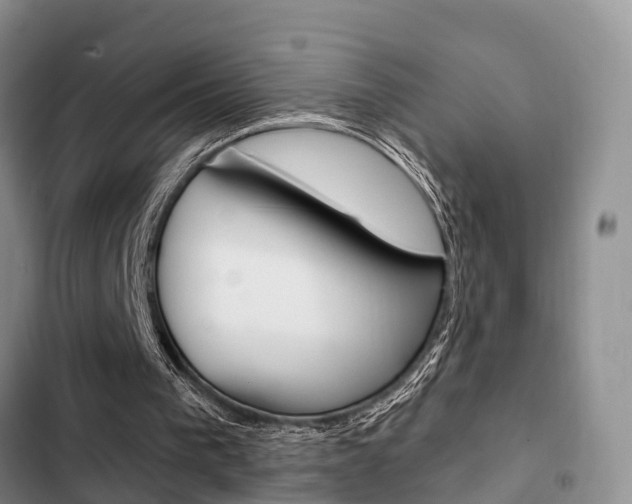 X0000102770193200808181002