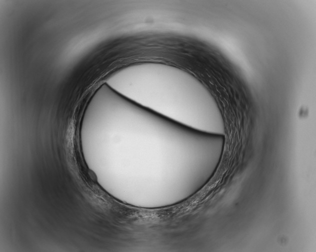 X0000102770194200808181002