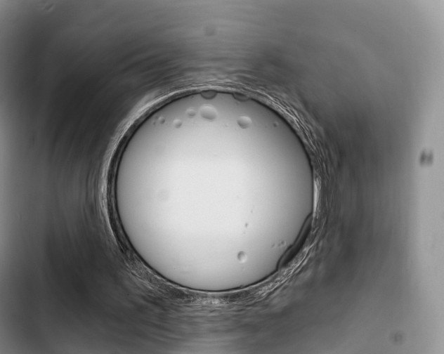 X0000102770195200808181002