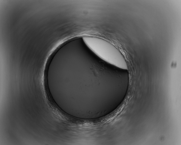 X0000102770196200808181002