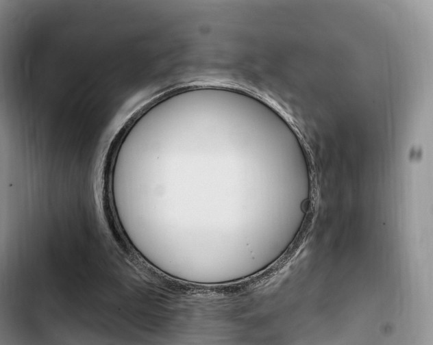 X0000102770199200808181002