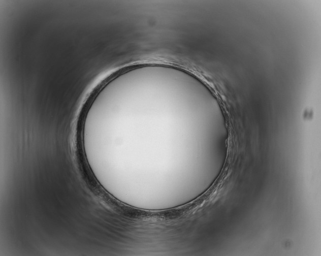 X0000102770200200808181002