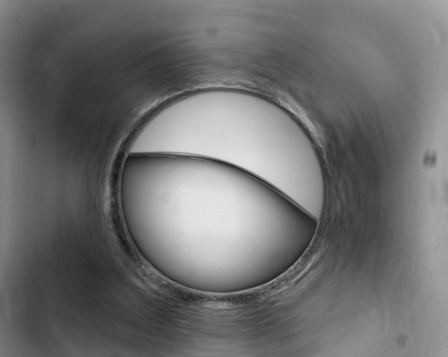 X0000102770203200808181002