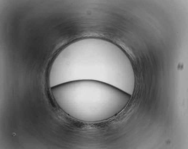 X0000102770207200808181002
