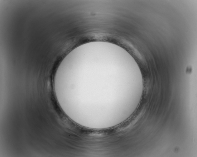 X0000102770213200808181002