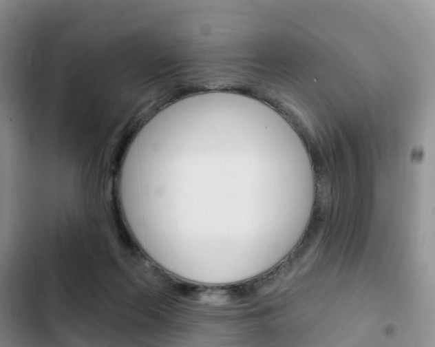 X0000102770214200808181002