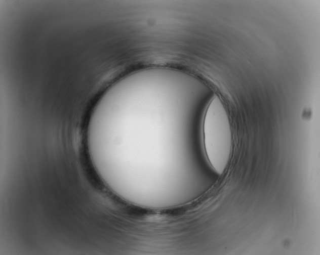 X0000102770216200808181002