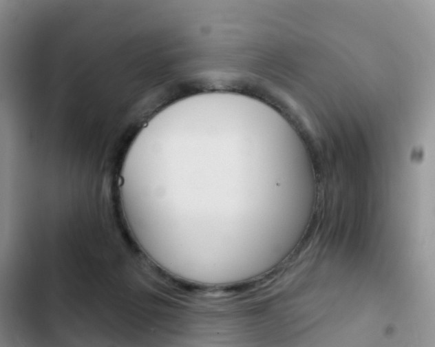 X0000102770217200808181002