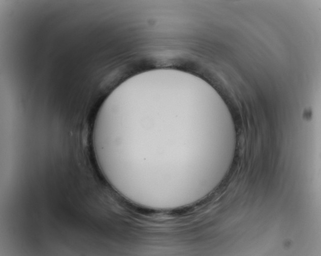 X0000102770219200808181002
