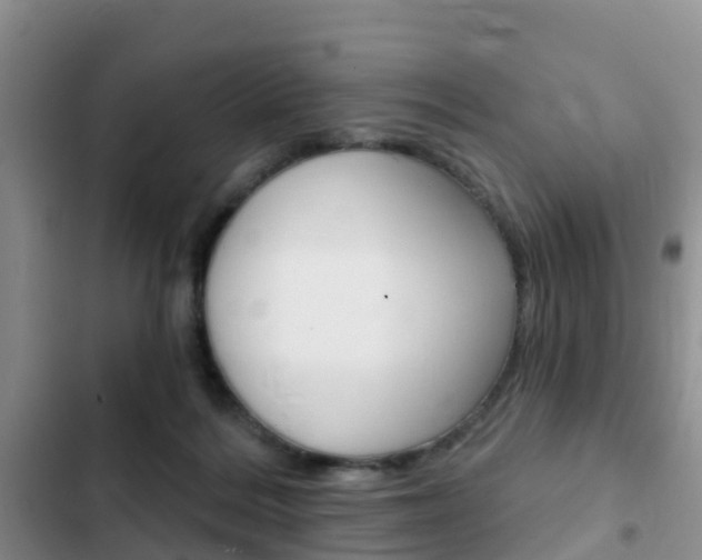 X0000102770220200808181002