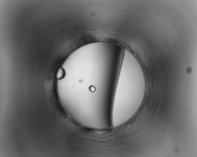 X0000102770221200808181002