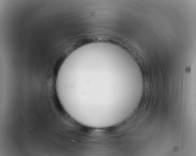 X0000102770222200808181002
